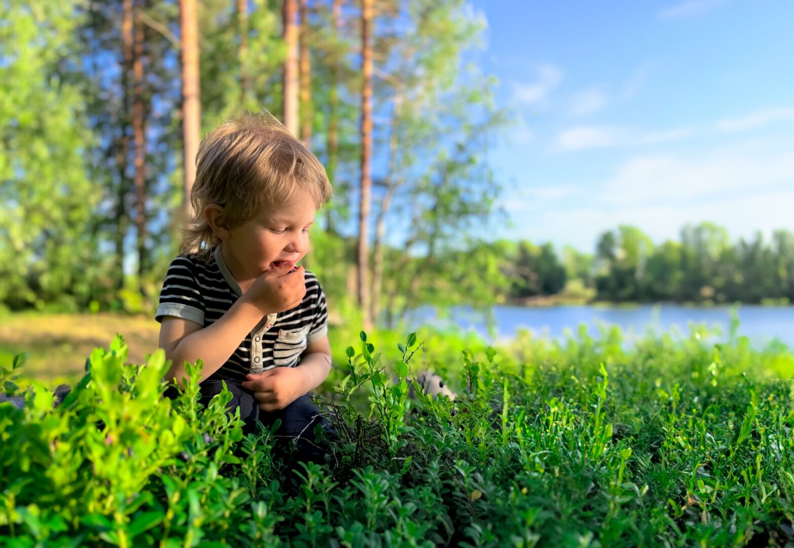 Poika istumassa kunttamaalla ja syömässä mustikoita